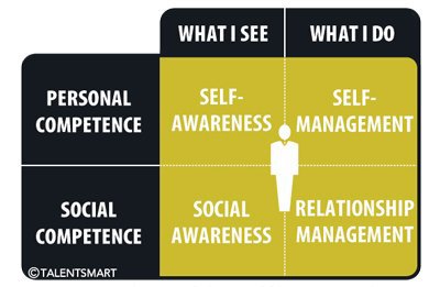 emotional intelligence: personal competence and social competence